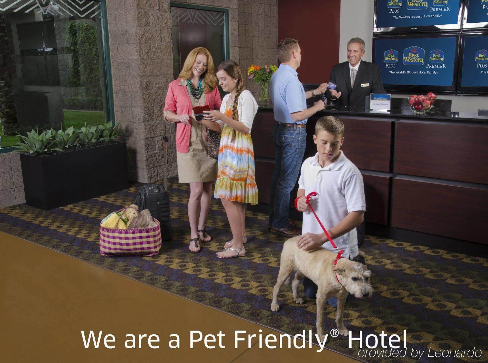 Best Western Plus Finger Lakes Inn&Suites Cortland Eksteriør billede